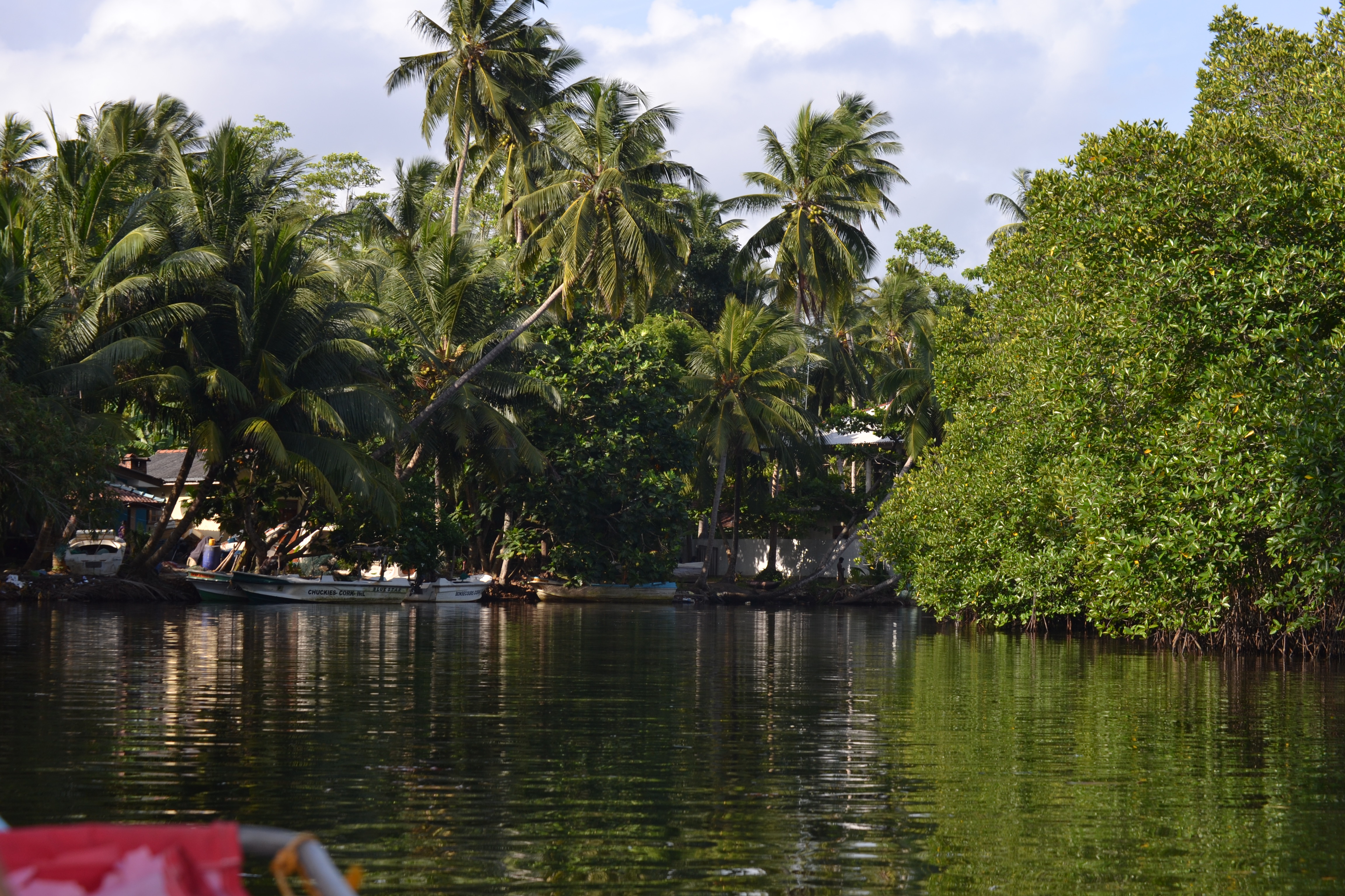 Maduganga in Balapitiya